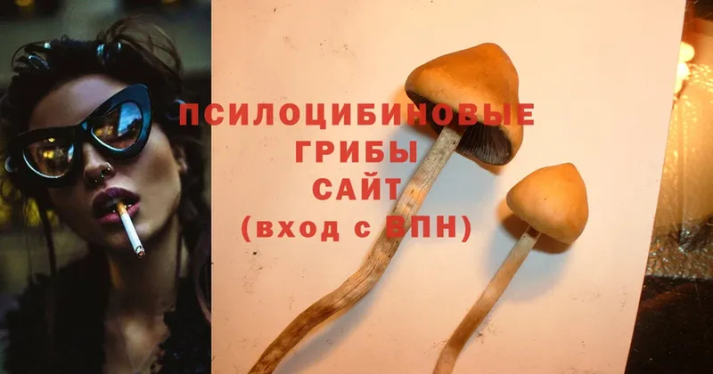 Галлюциногенные грибы MAGIC MUSHROOMS  Верхняя Салда 