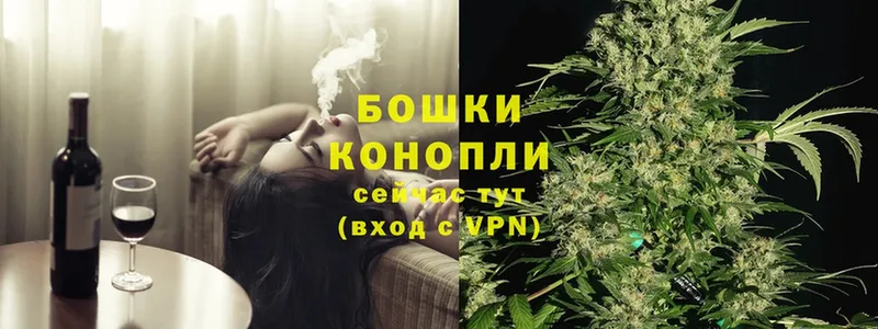 Канабис White Widow  Верхняя Салда 